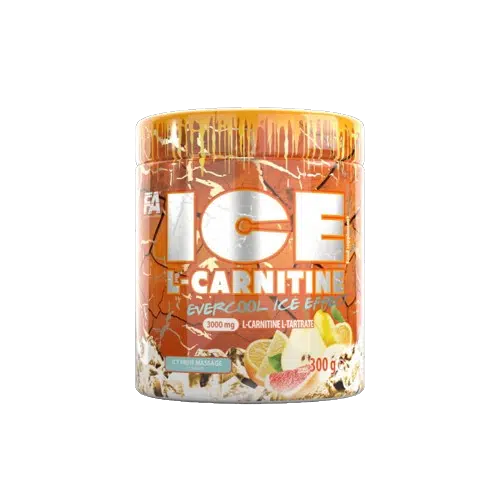 eng pm FA Ice L Carnitine 300g 5098 1