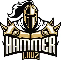 Hamer Labz