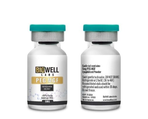 Maketa 2 3 600x486 1