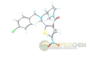 SR9009 3D RC 300x197 1