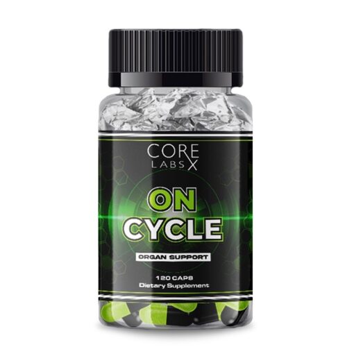 en cycle sur le cycle