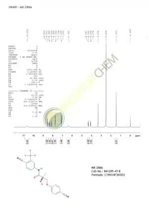 Modello MK 2866 HNMR B 300x424 1