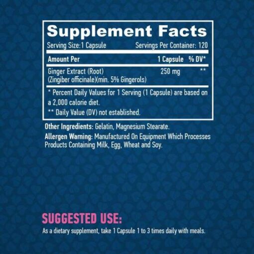 eng pm Haya Ginger 250 mg 120 caps 4668 2