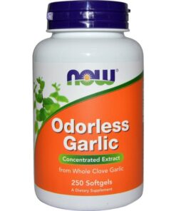 eng pm Odorless Garlic 250 caps 2163 1