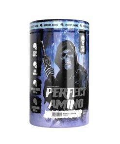 fr pm Skull Labs Perfect Amino 450 g 4350 1