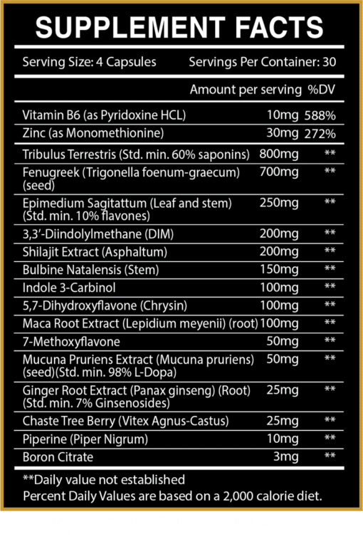 Centurion Essentials Retreat 202