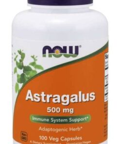 eng pm Astragalus 500 mg 100 caps 3054 1