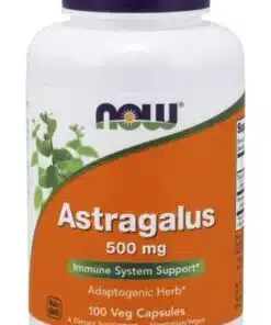 fr pm Astragale 500 mg 100 gélules 3054 1