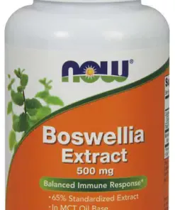 eng_pm_Boswellia-Extract-500mg-90-caps-2299_1