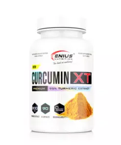 eng pm Curcumin XT 90 caps 3162 1