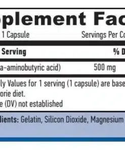 eng pm GABA 500 mg 100 caps 2447 2