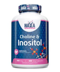 eng pm Haya Choline et Insositol 500 mg 100 gélules 3831 1