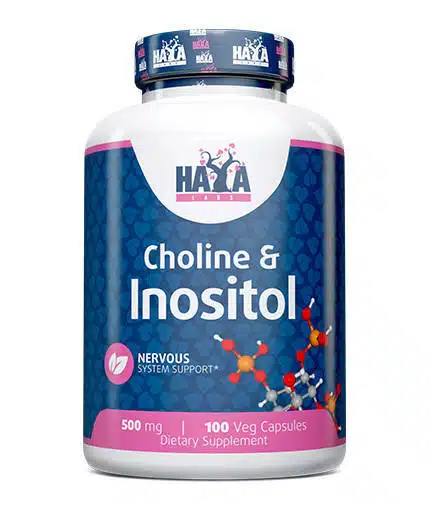 eng pm Haya Choline et Insositol 500 mg 100 gélules 3831 1