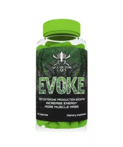 evoke 1 768x768 1