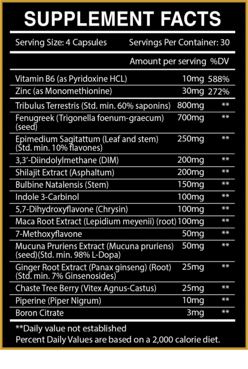 Centurion Essentials Retreat 202