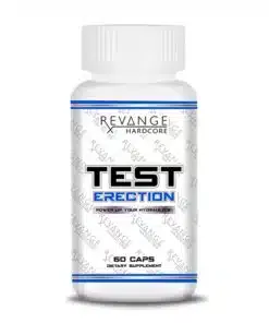 test-erection