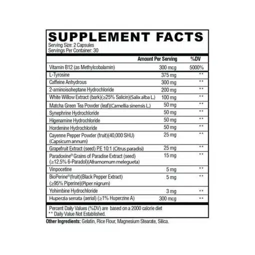 condemned labz arsyn dmha fatburner us version 60 kapsul 2