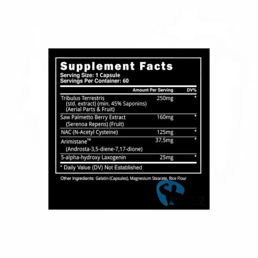 Blackstone PCT V - nowm-blackstone-pct-v.jpg