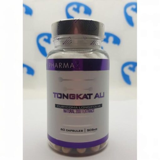 Pharma X Tongkat Ali 60 caps - nowm-pharma-x-tongkat-ali-90-caps.jpg