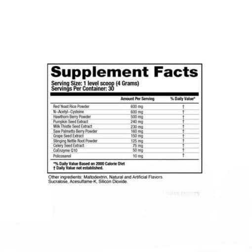 AI Sports Nutrition Cycle Support 2.0 - nowm-ai-sports-nutrition-cycle-support-20.jpg