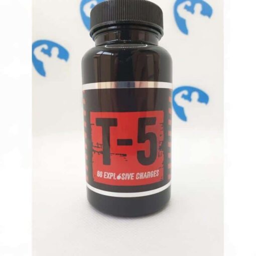 Zion Labs T-5 60 caps - nowm-zion-labs-t-5.jpg