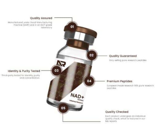 WhatsApp Image 2025 07 07 at 19.29.50 57470ce8 600x473 2