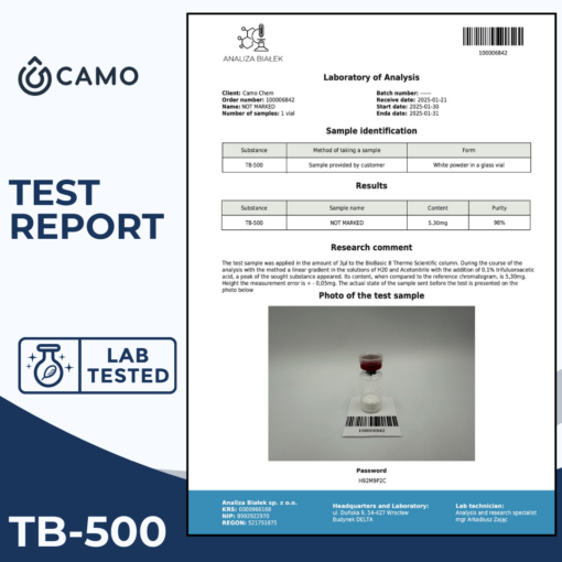 Your paragraph text 1